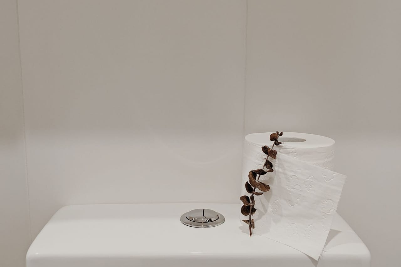How does a septic tank work: White toilet paper roll on white ceramic toilet tank