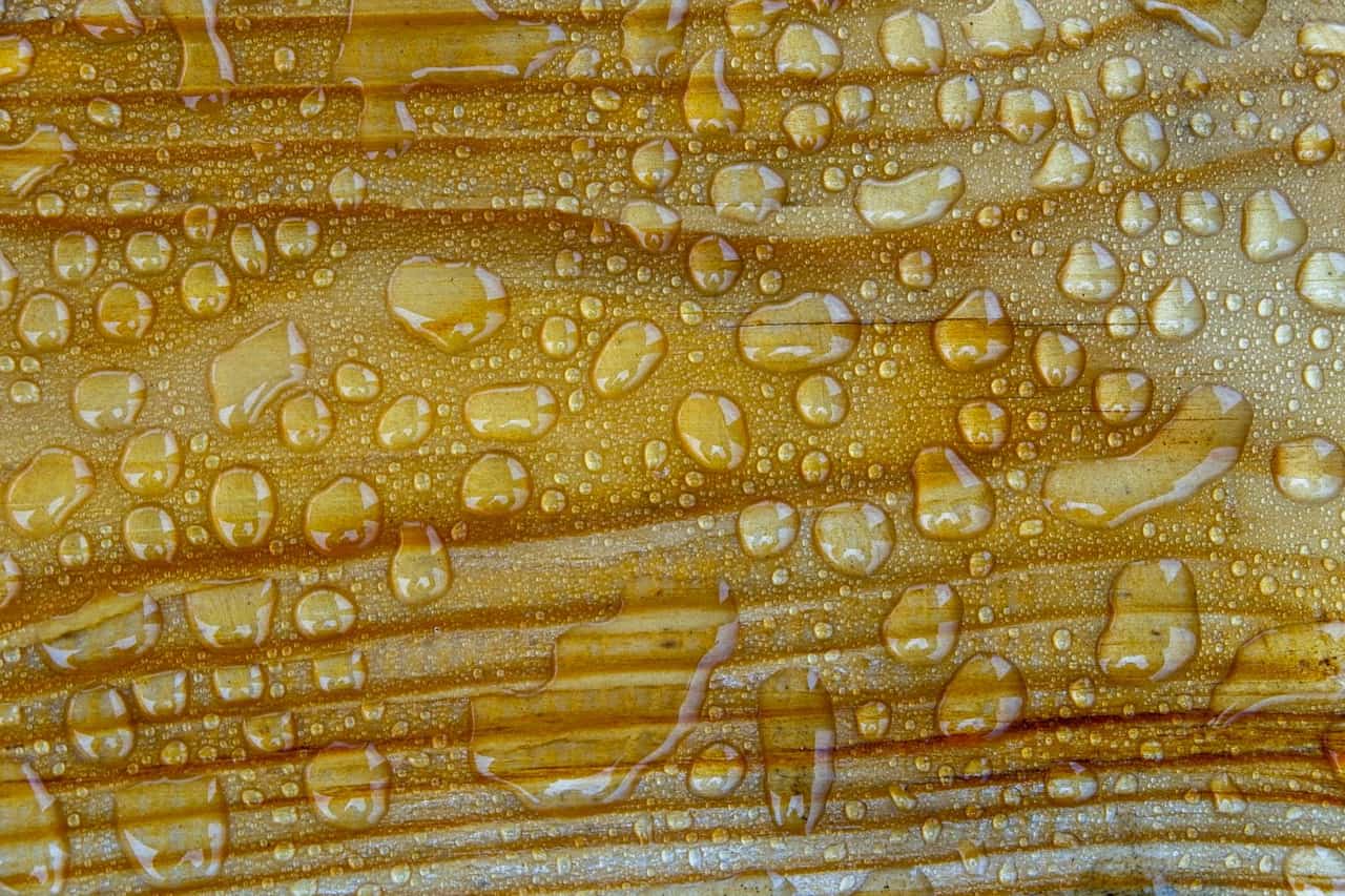 How to clean mold off wood: Close up of water droplets on wood surface