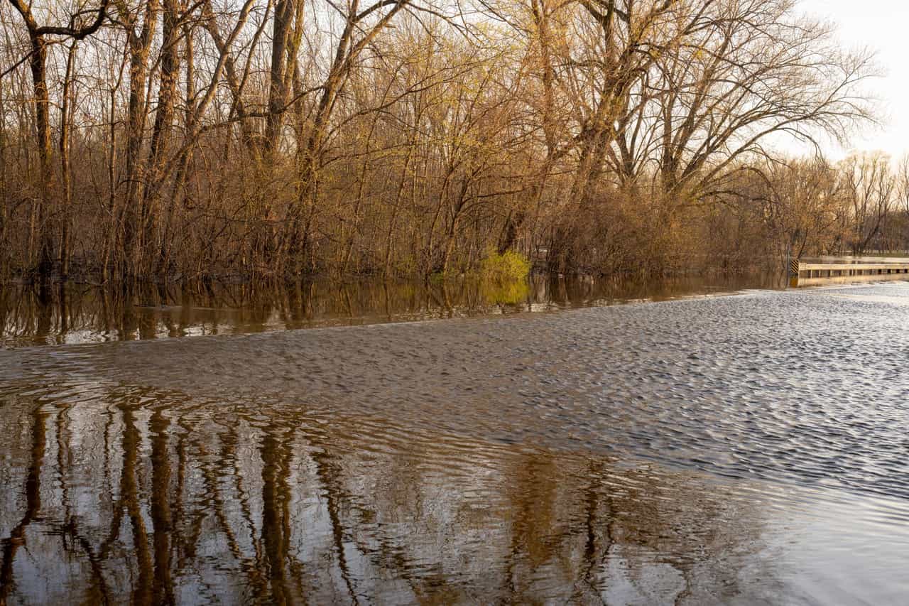 How to disinfect a flooded basement: Flooded park and trees