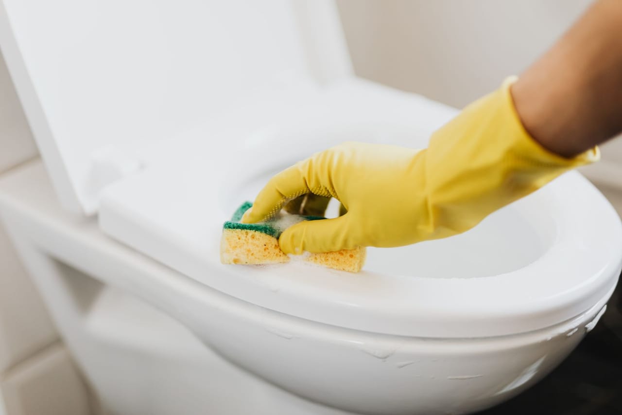 How to fix a running toilet: Crop faceless housekeeper cleaning toilet bowl