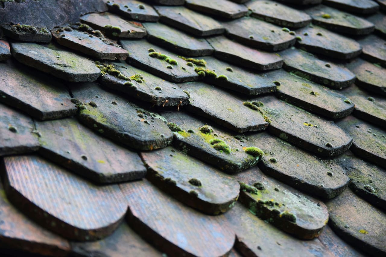 How to remove moss from roof: Weathered moss covered wooden roof shingles