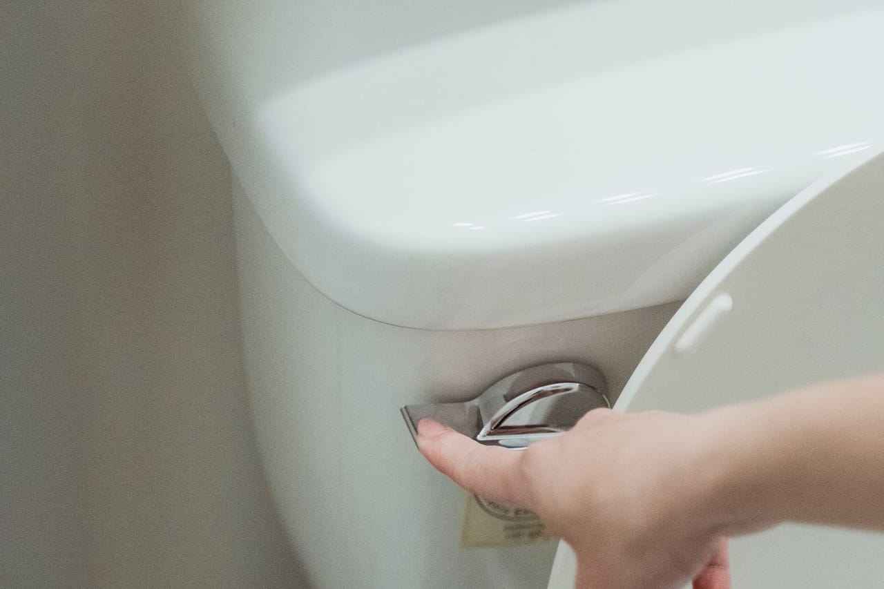 How to replace a toilet: Hand flushing toilet