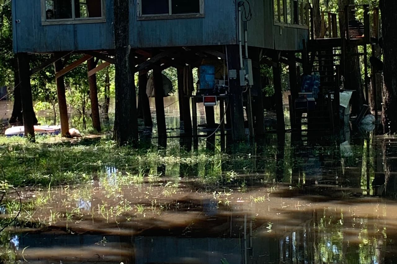 Insurance claims water damage: Water under the house near trees