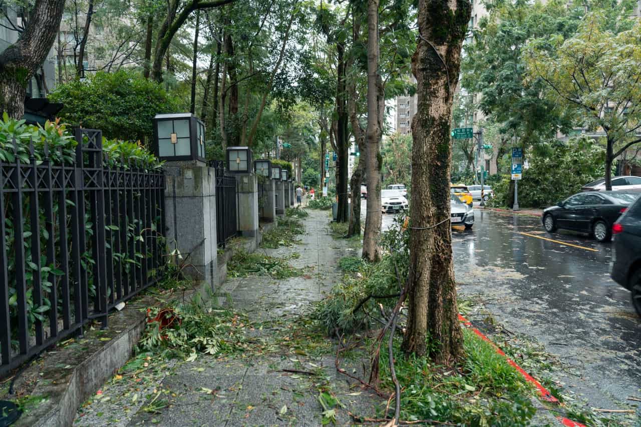 Mold after water damage: Storm damage in taipei city street after typhoon