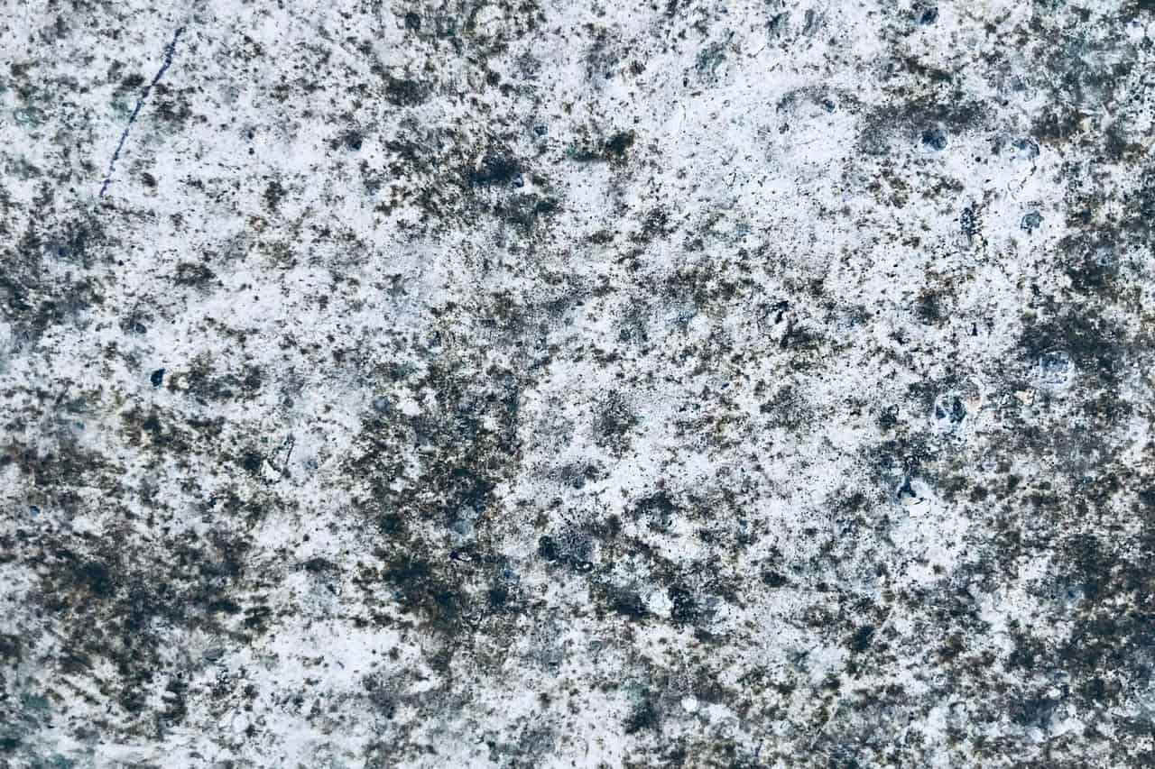 Mold vs mould: Close up of a rough mouldy surface