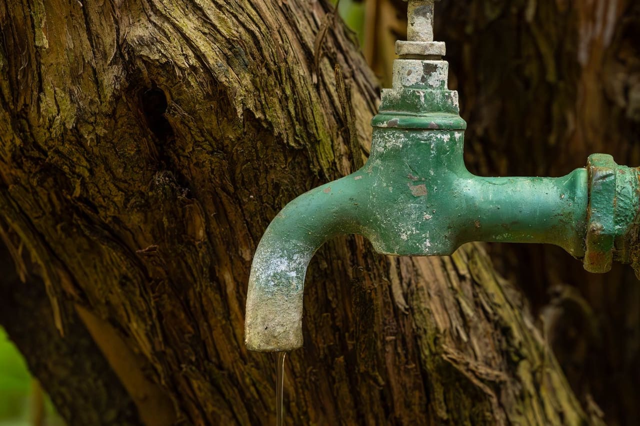 Water dripping from ceiling light fixture: Rusty outdoor water tap dripping by a tree