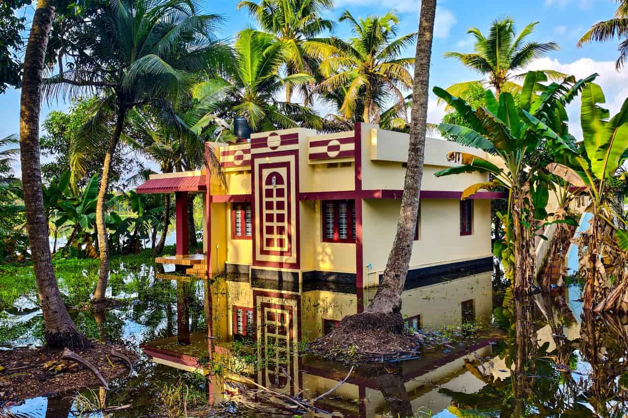 Wet subfloor: Flooded tropical house with palm trees