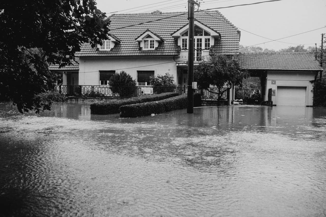 What does black mold look like: Black and white photo of flooded suburban house
