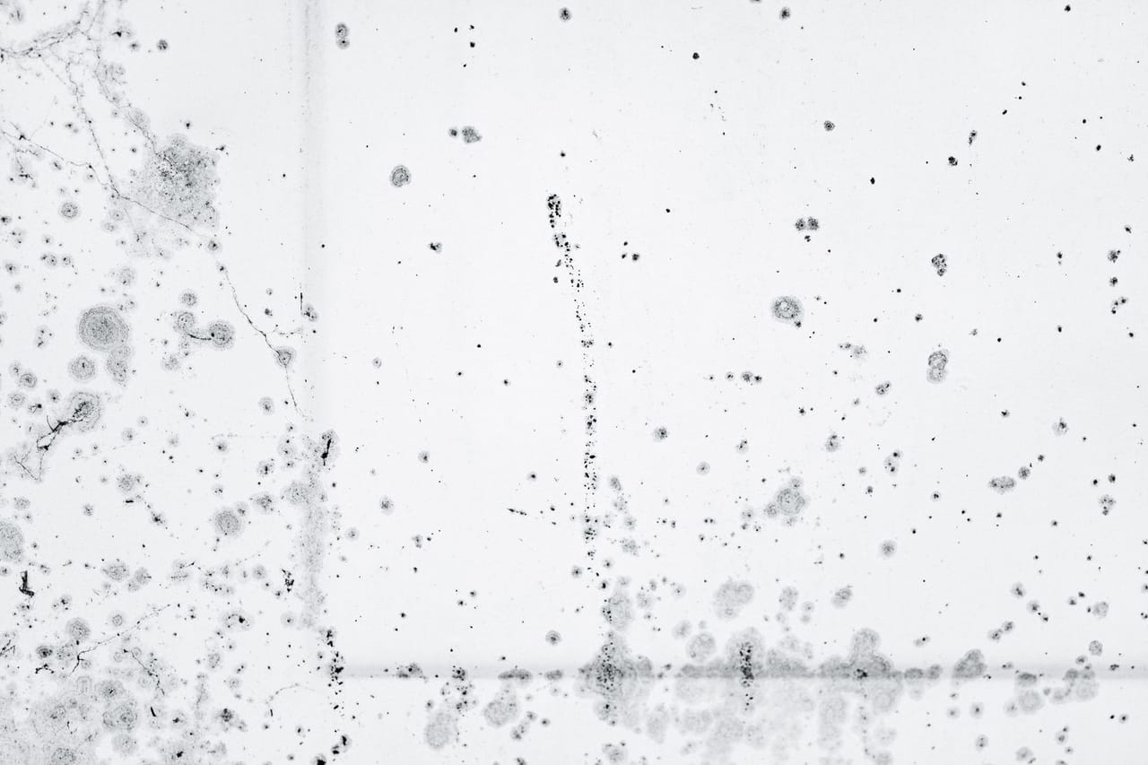 What does mold smell like: Abundance of stains