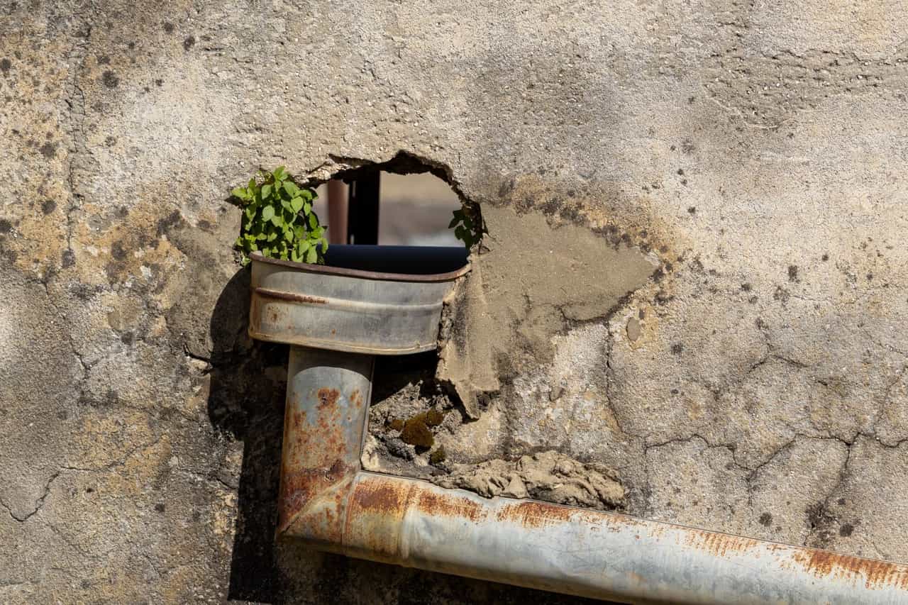 Plumber Bowling Green KY: Rusty pipe in weathered wall with green plant