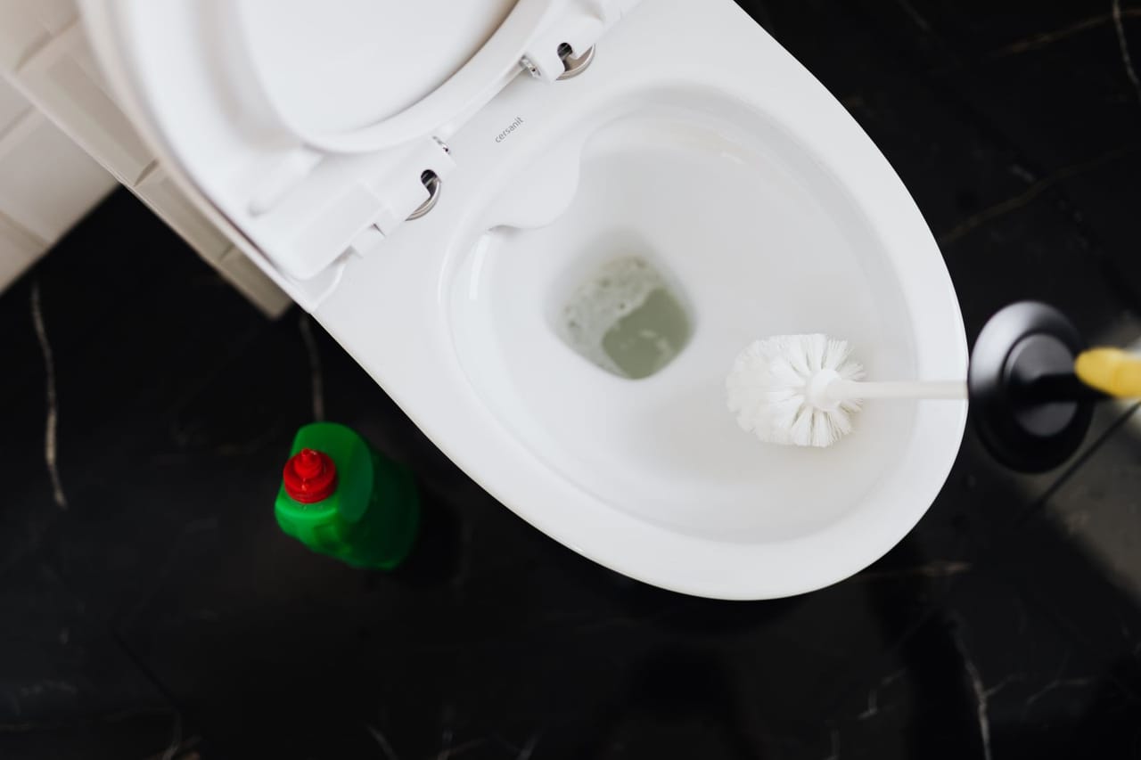 Plumber Dallas TX: Crop person cleaning toilet bowl with toilet brush