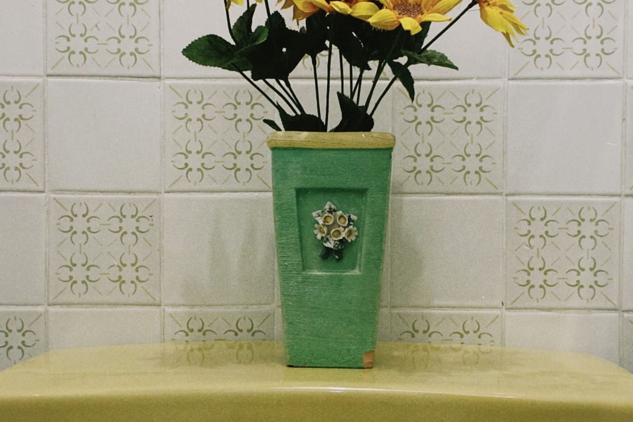 Plumber Montgomery AL: A vase with flowers on top of a toilet
