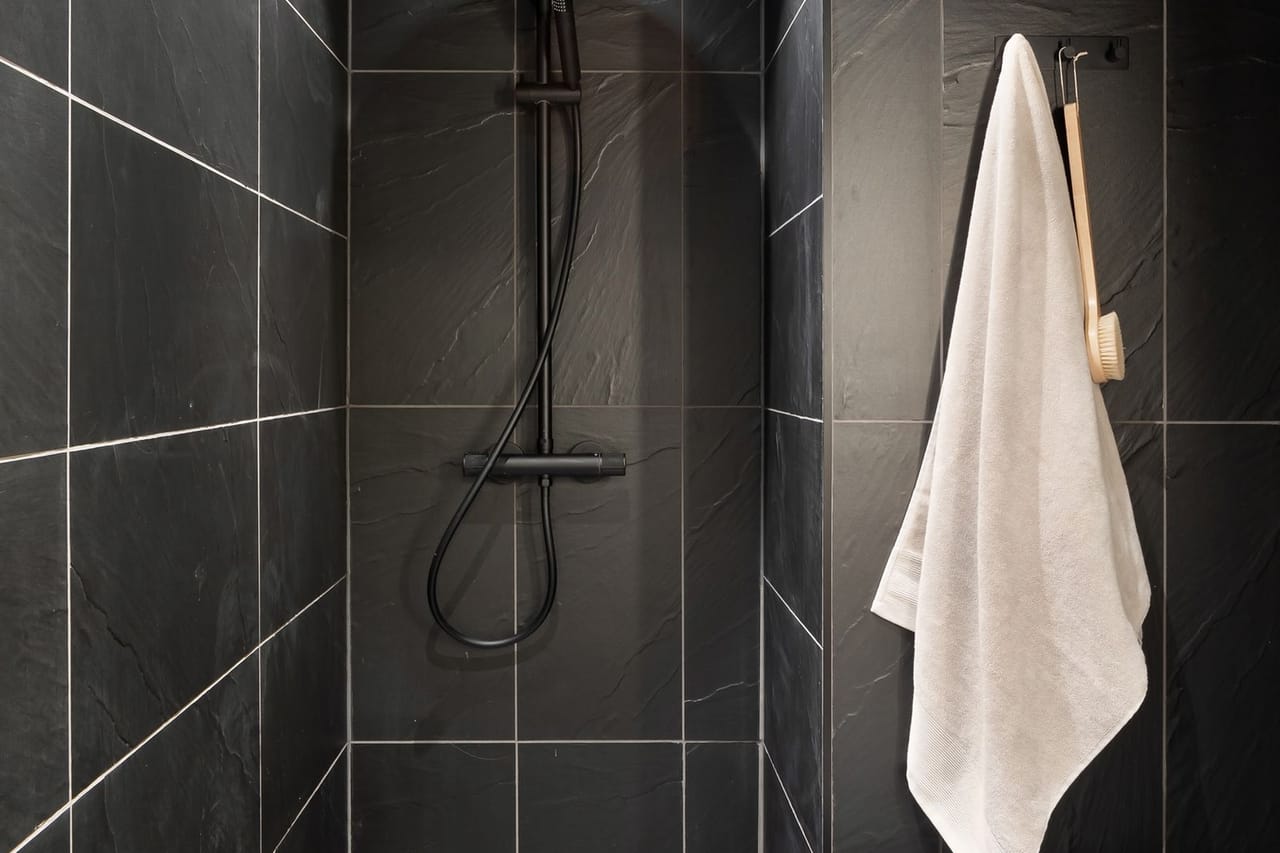 Plumber Tampa FL: Shower in black bathroom