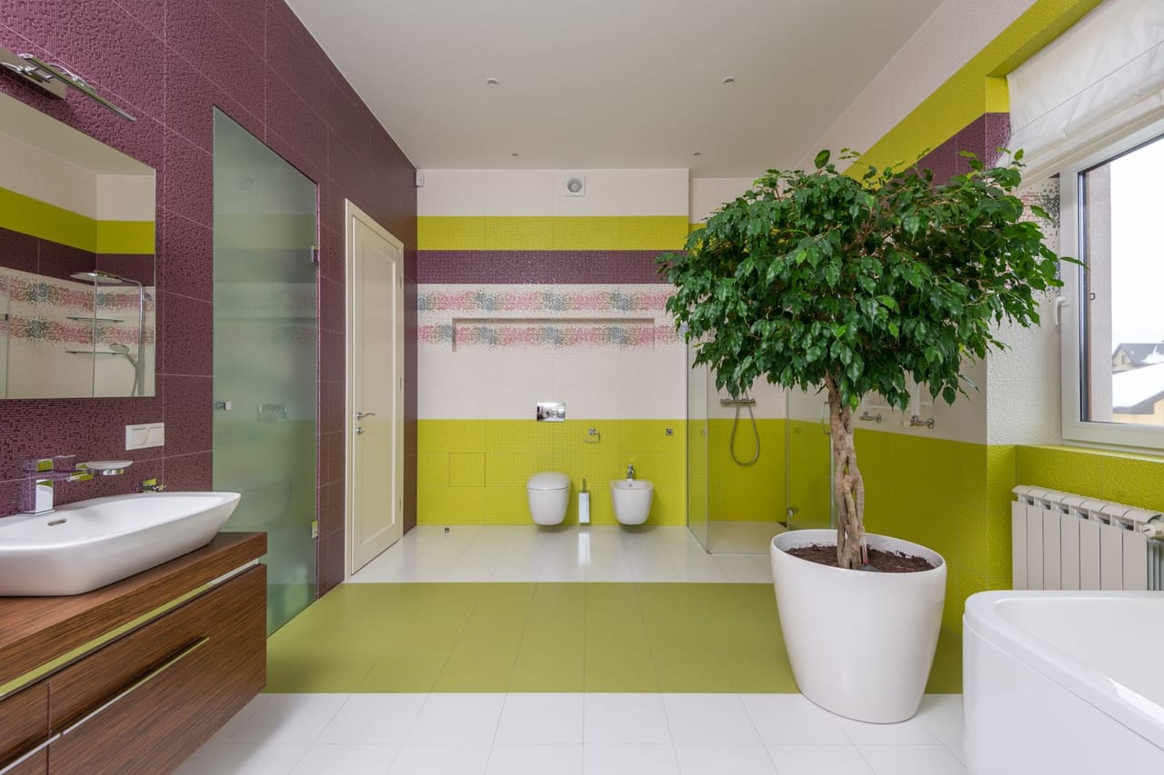 Plumber Vallejo CA: Interior of modern bathroom with colourful walls