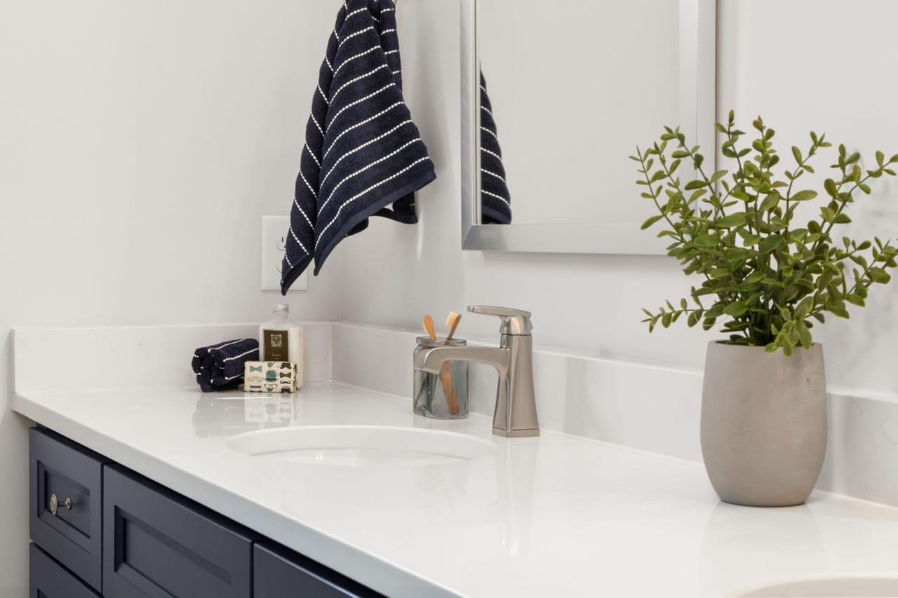 Plumber Waukesha WI: Modern bathroom vanity with plant decor