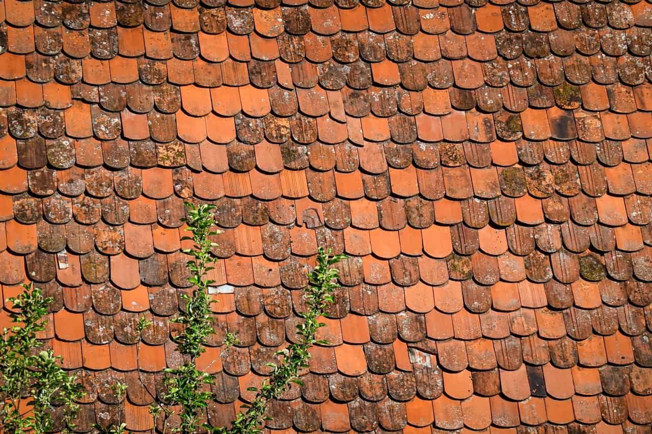 Roof repair Casper WY: Rustic terracotta roof tiles with moss