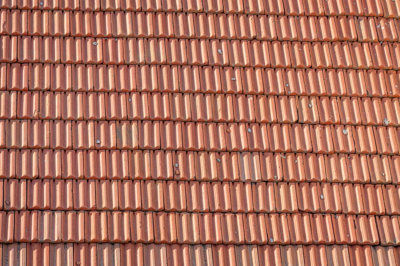 Roof Repair in Everett, WA: Salt Air and Coastal Wind