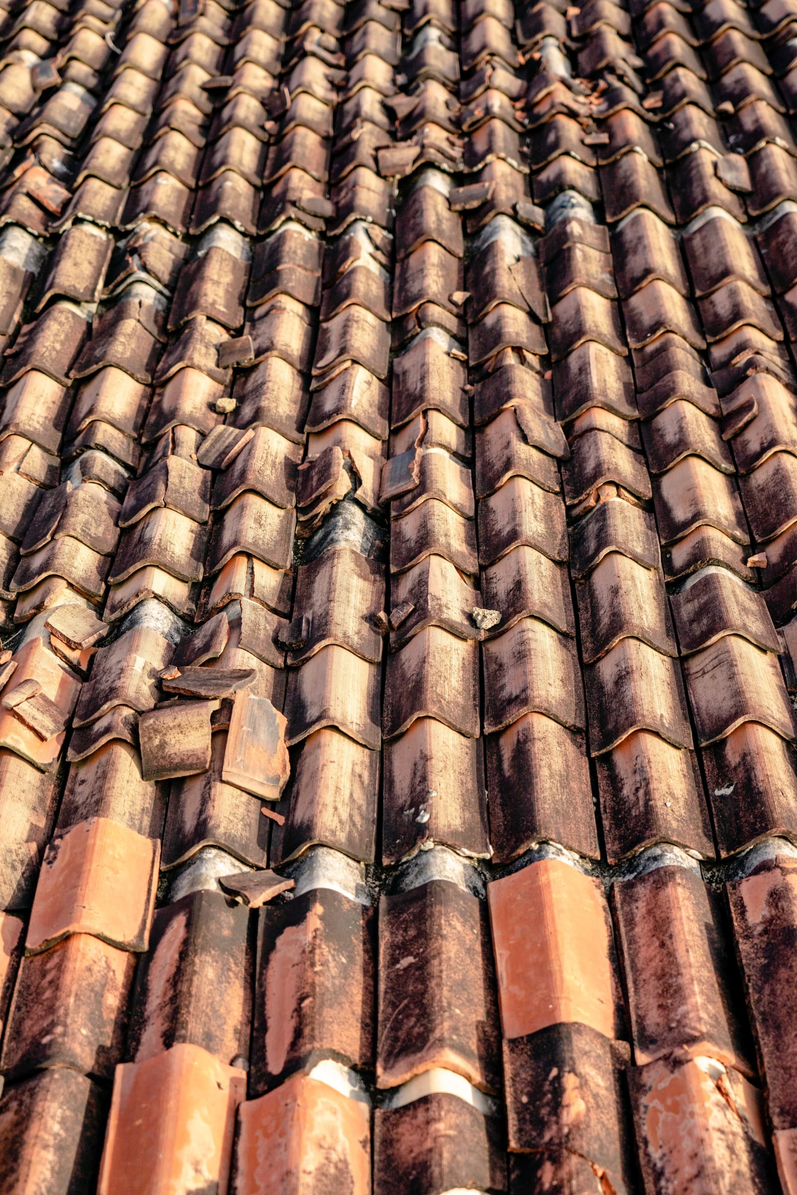 Roof Repair & Replacement in Fort Lauderdale, FL: HVHZ Roofing for South Florida's Coast