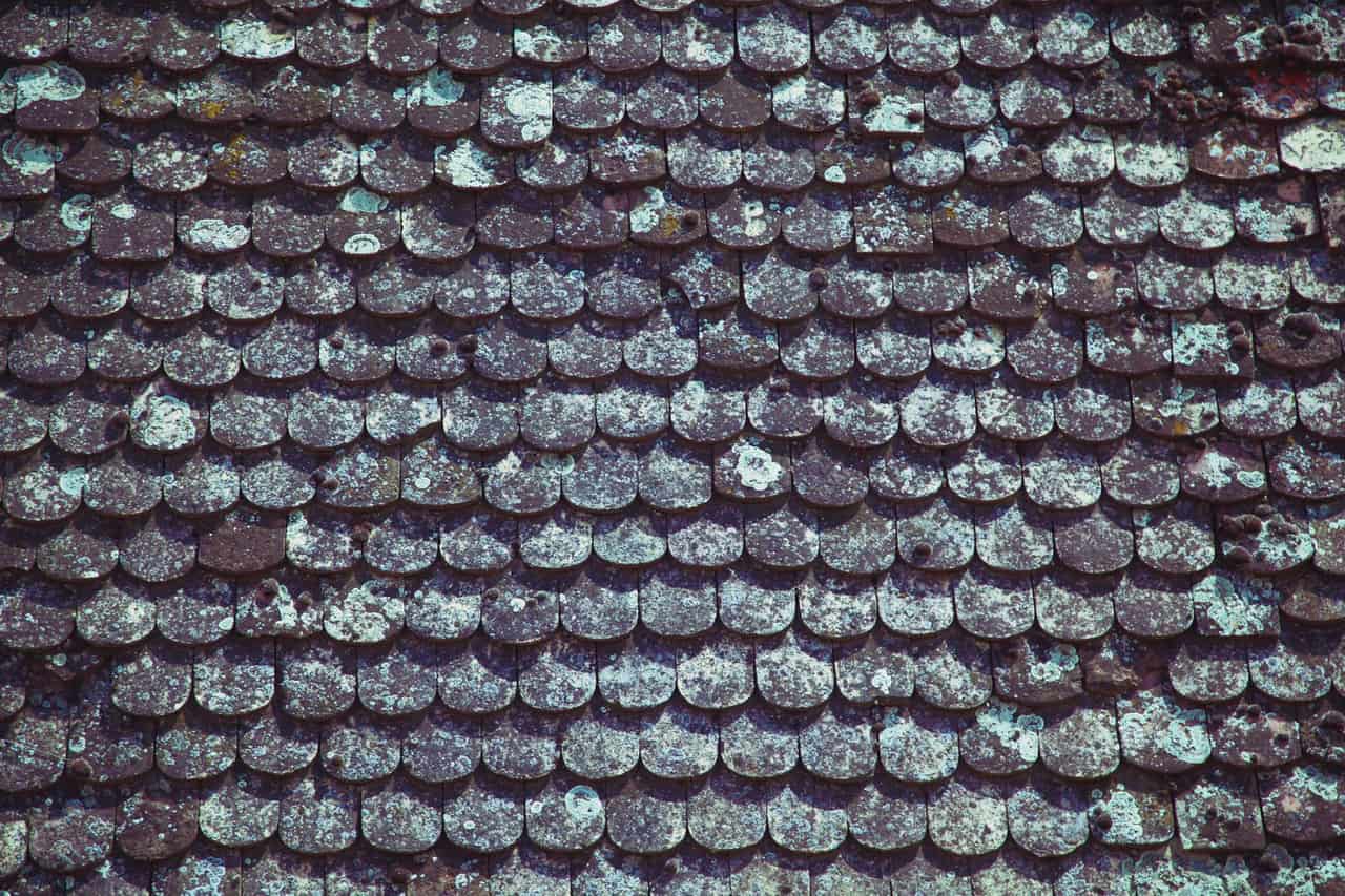 Roof Repair in Fort Pierce, FL: Hurricane Wind, Aging Roofs