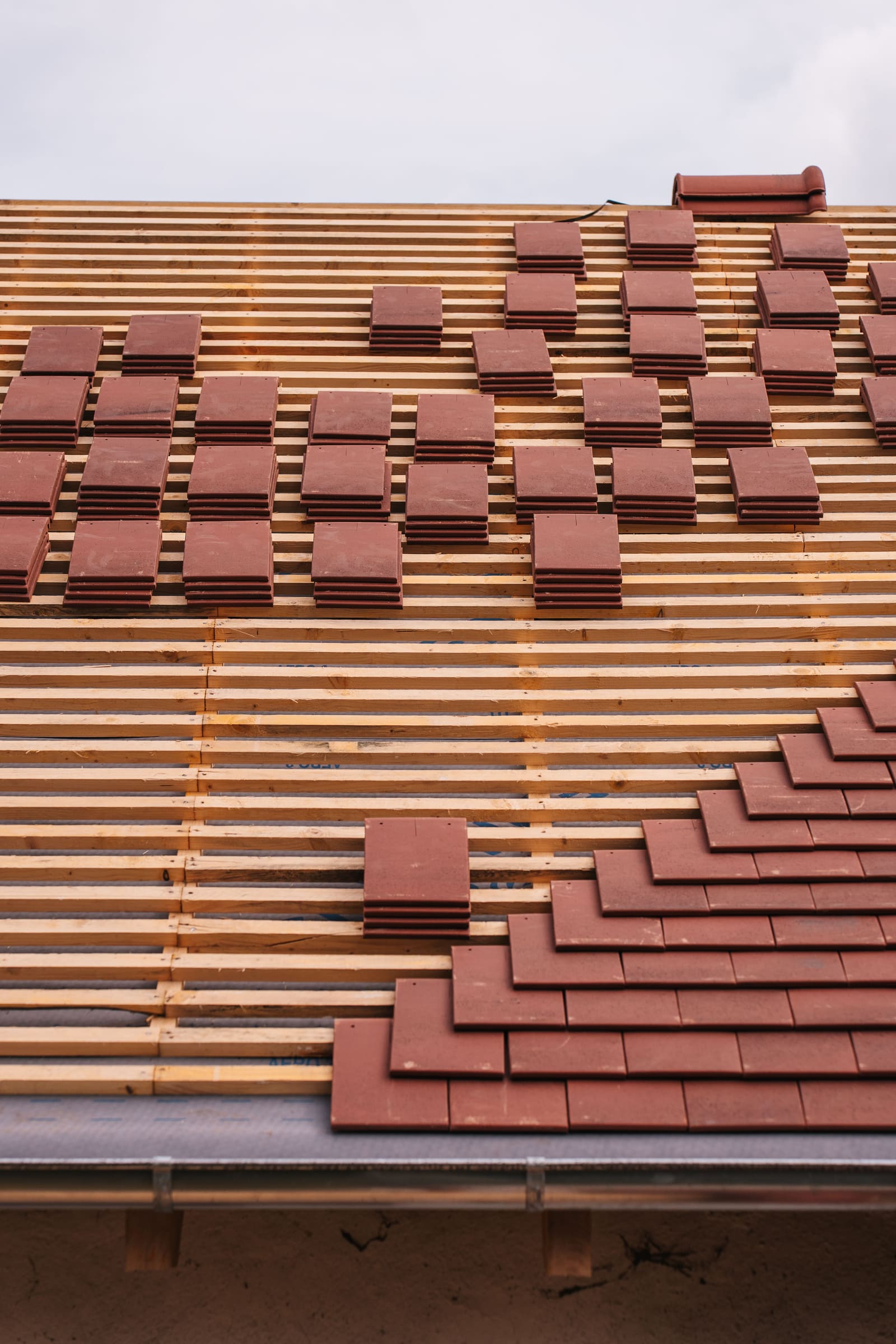 Roof Repair & Hail Damage Restoration in Frisco, TX: North Texas Storm Roofing Experts