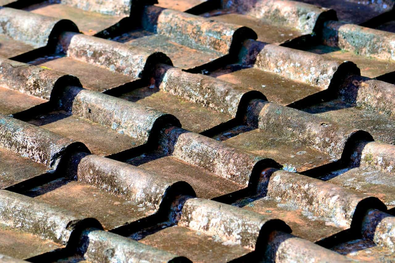 Roof Repair in Greenville, SC: Storm Damage, Aging Roofs