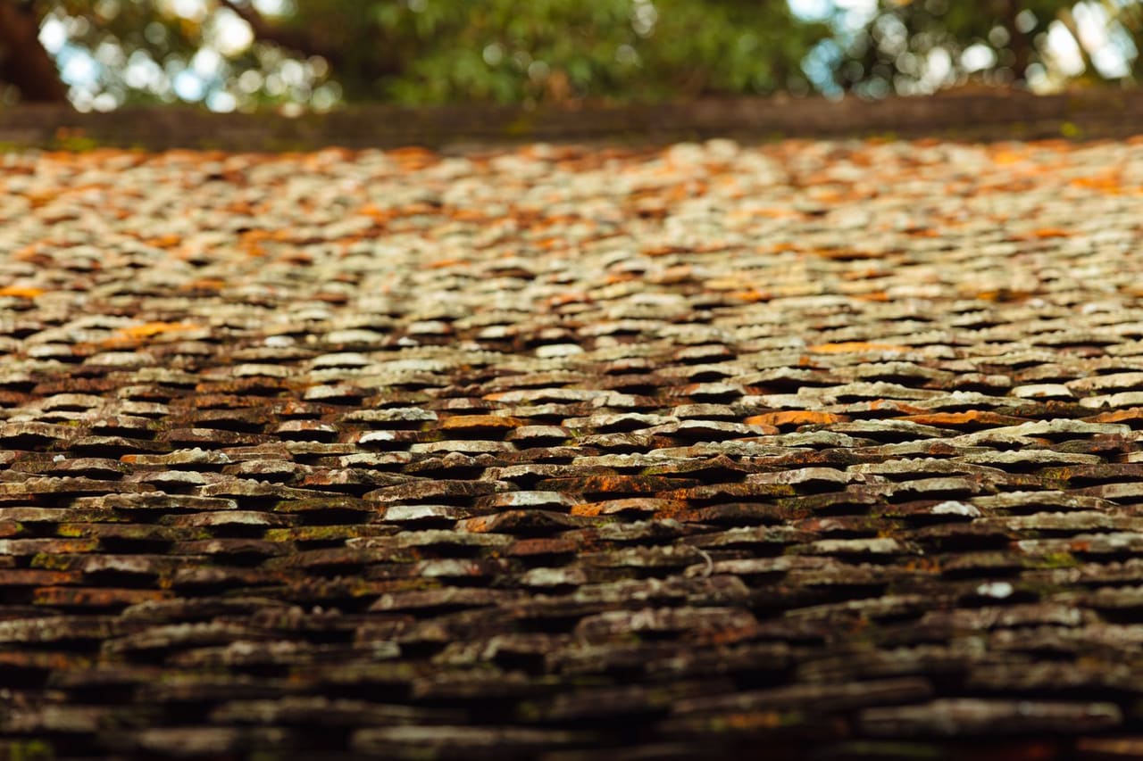 Roof repair Lansing MI: Close up of weathered tile roof with lichen