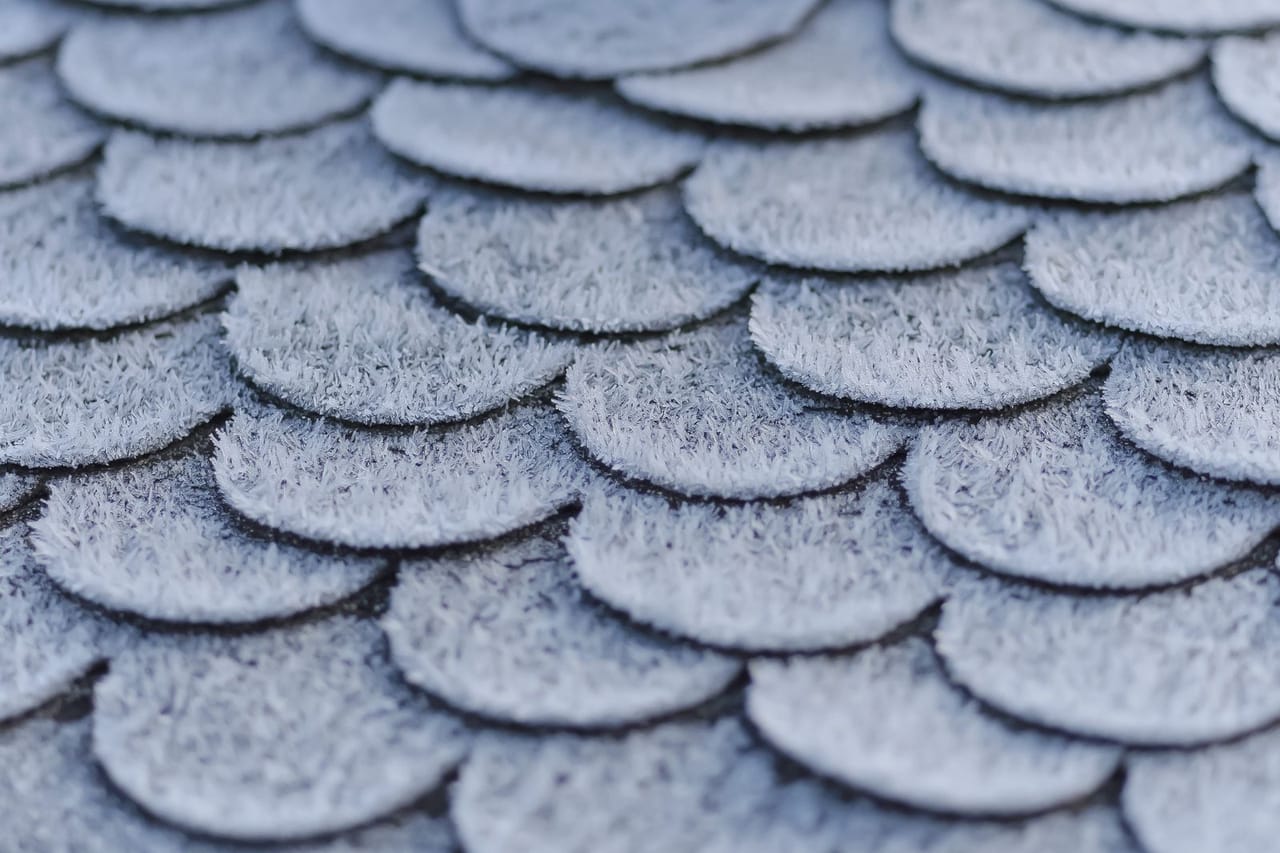 Roof Repair in Macon, GA: Hail Damage, Aging Roofs
