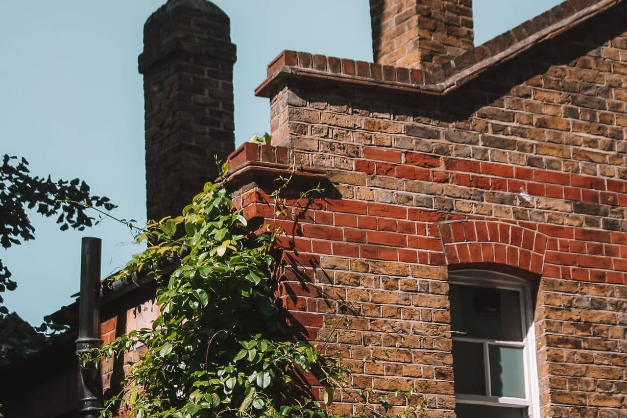 Roof repair Tacoma WA: Part of a brick house overgrown with ivy