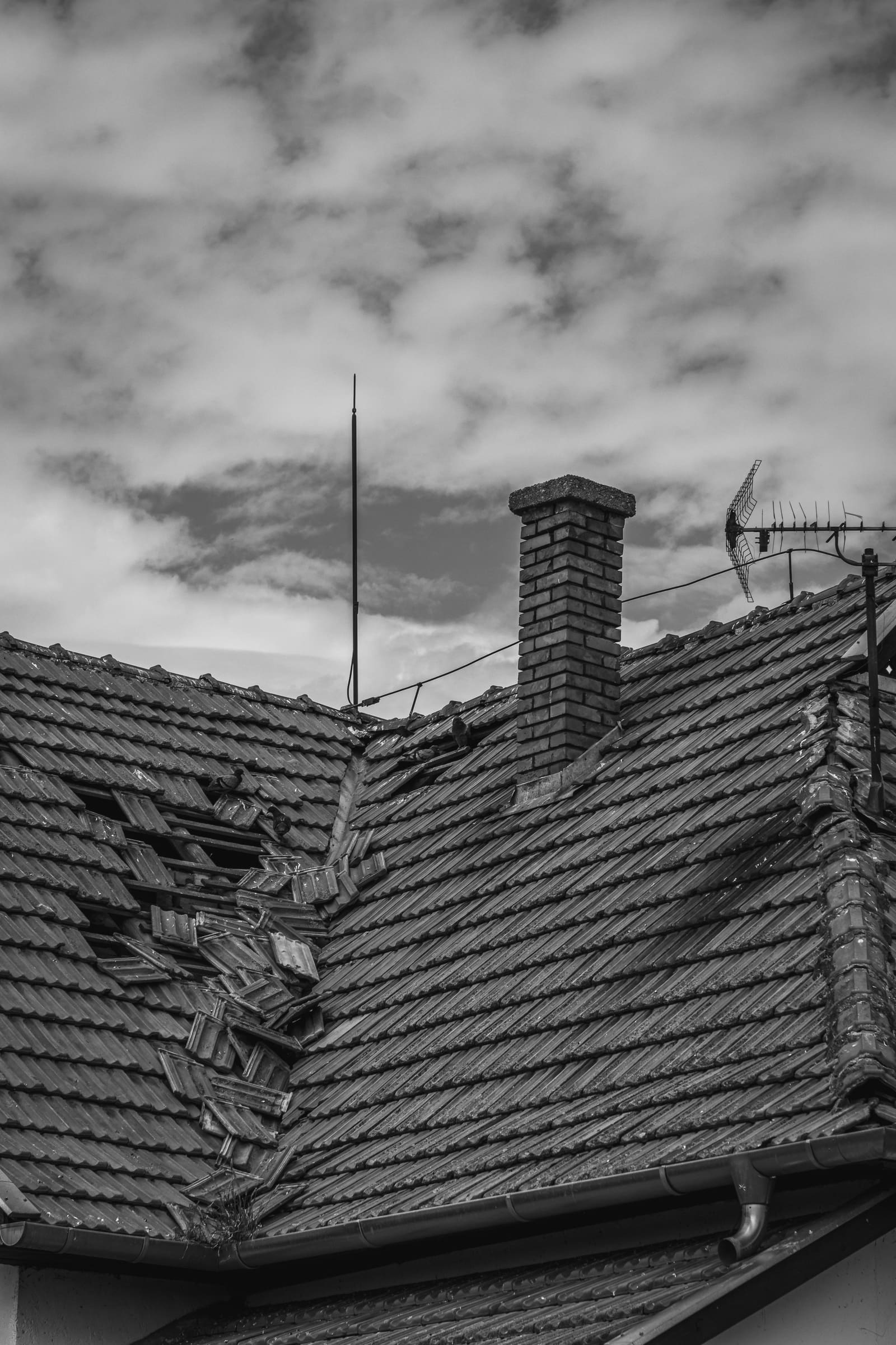 Roof Repair & Storm Damage Restoration in Tampa, FL: Hurricane-Ready Roofing You Can Trust
