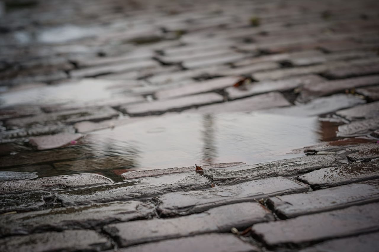 Water Damage Restoration in Aiken, SC: Creek Flooding