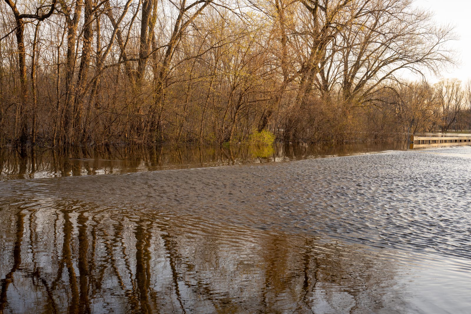 Water Damage Restoration in Austin, TX: Costs, Causes, and Insurance Explained