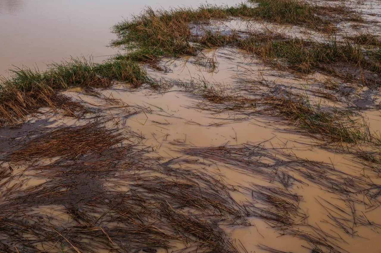 Water Damage Restoration in Beaumont, TX: Storm Surge