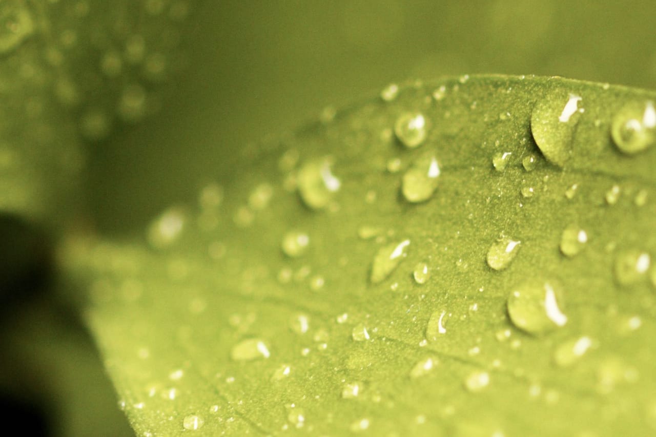 Water Damage Restoration in Bowling Green, KY