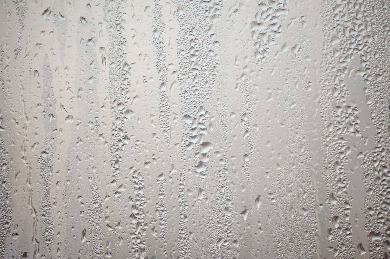 Water Damage Restoration in Bremerton, WA: Storm Surge