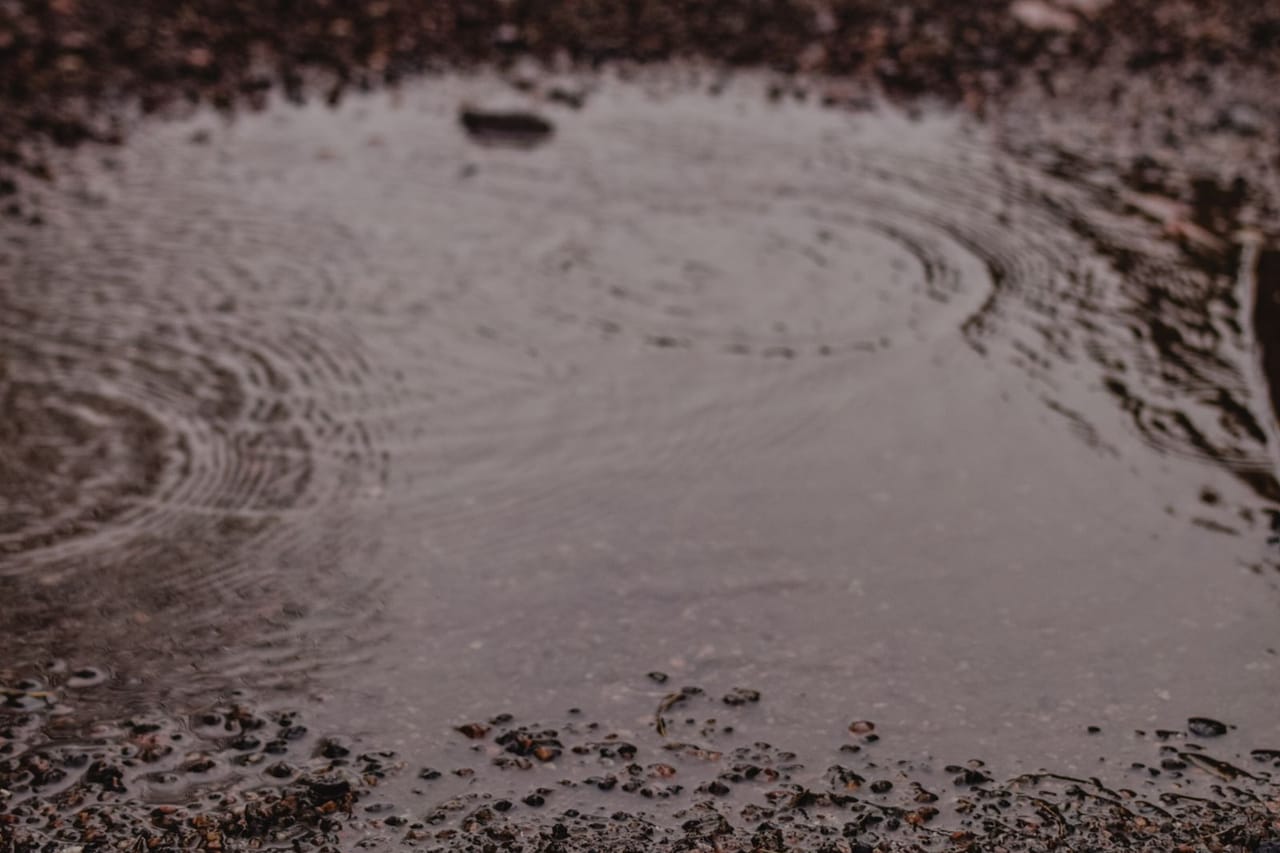 Water Damage Restoration in Champaign, IL: Creek Flooding