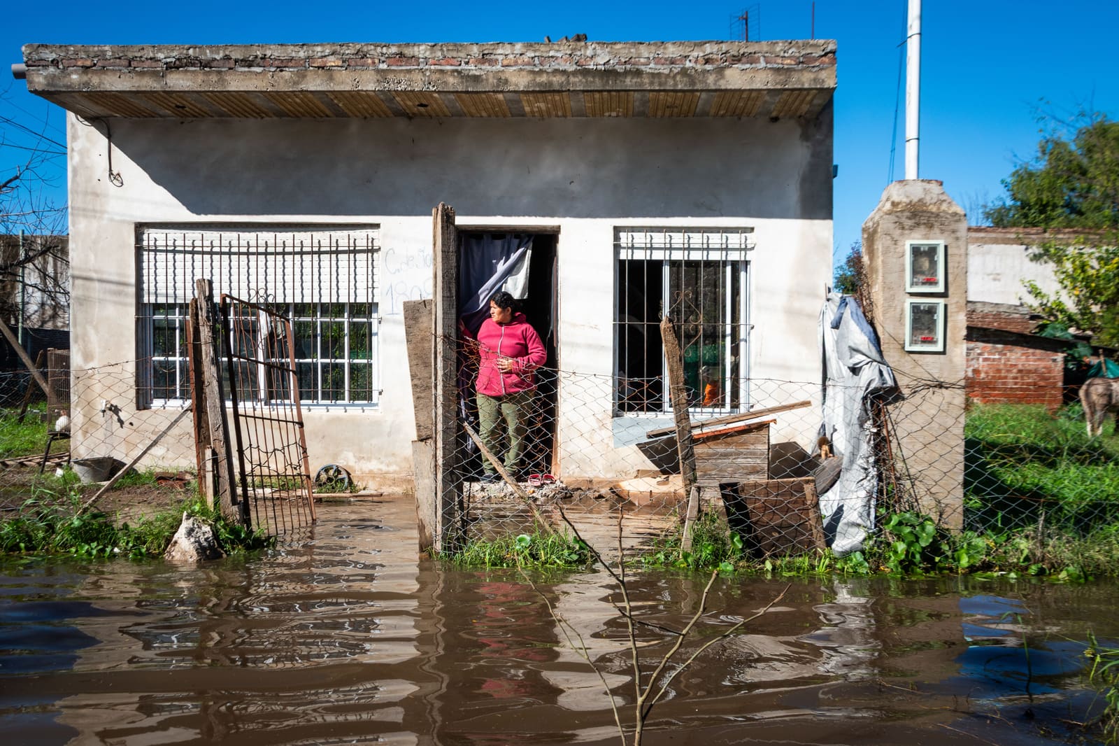 Water Damage Restoration in Chandler, AZ: A Homeowner's Guide