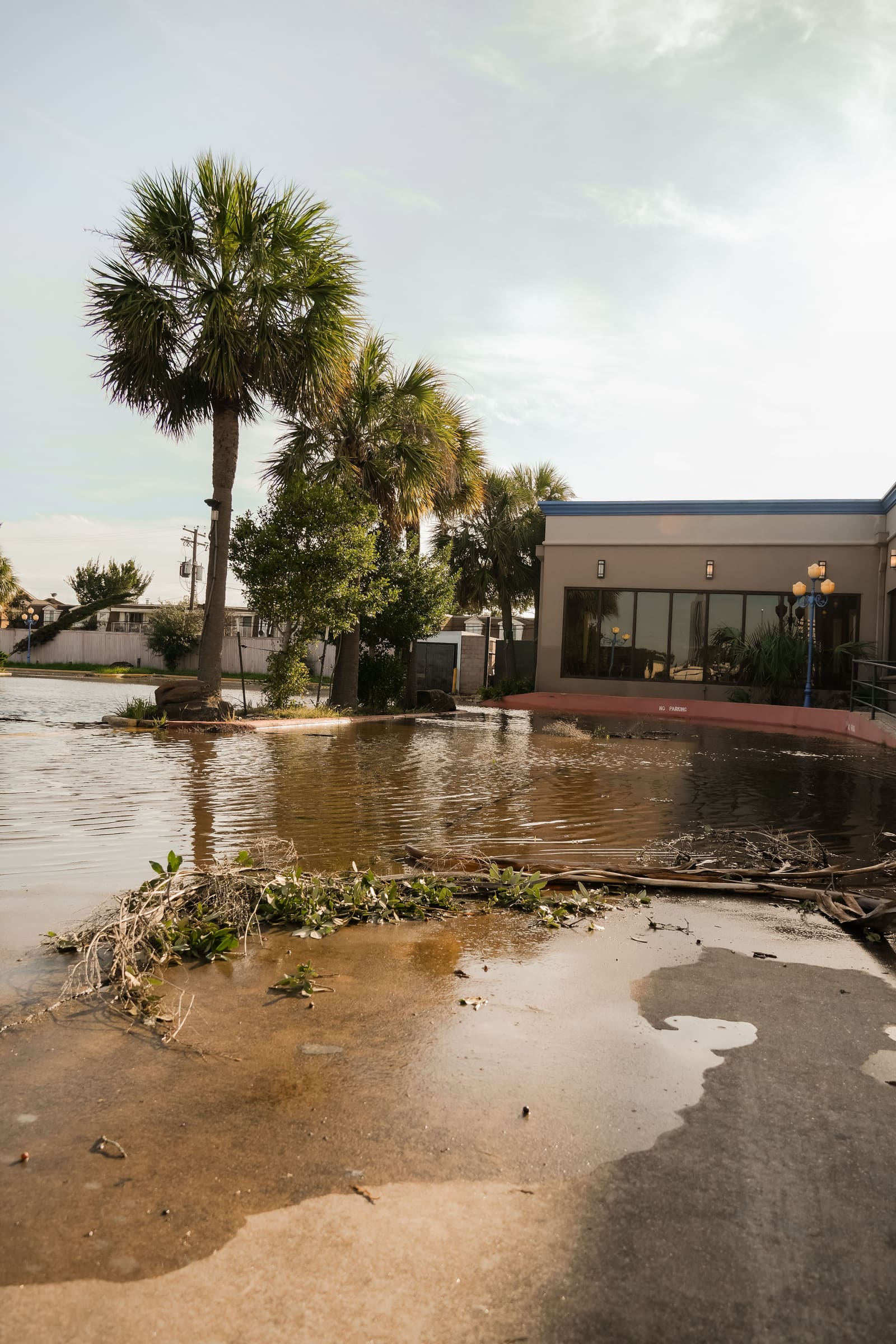 Water Damage Restoration in Corpus Christi, TX: A Hurricane Season Guide