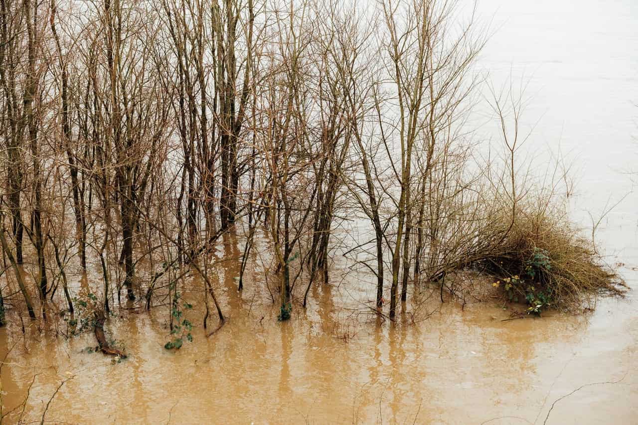 Water Damage Restoration in Decatur, AL: River Flooding