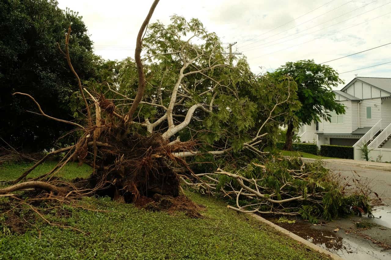 Water Damage Restoration in Elizabeth, NJ: Storm Surge