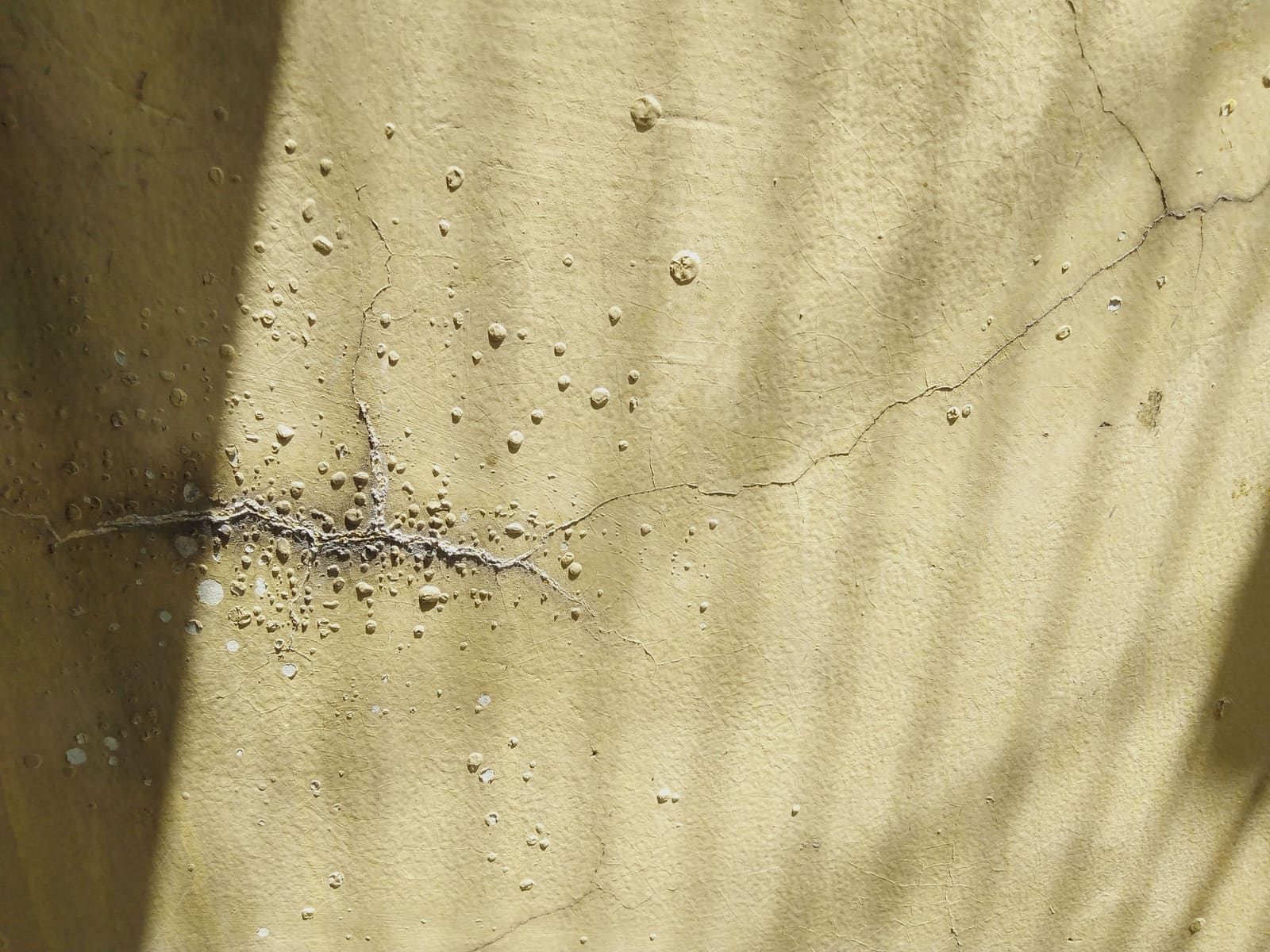 Water Damage Restoration in Glendale, AZ: A Homeowner's Guide