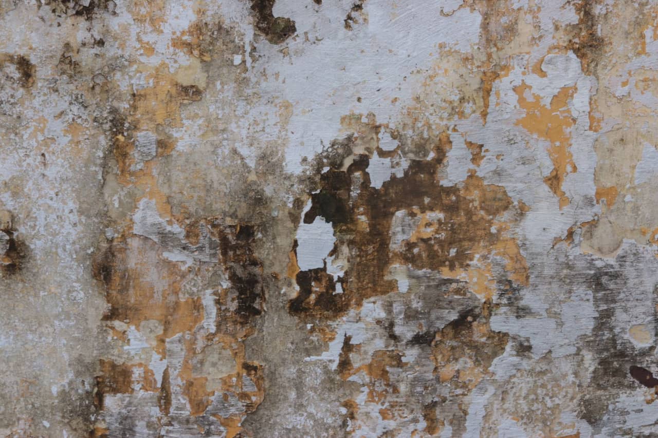 Water Damage Restoration in Huntington, WV: River Flooding
