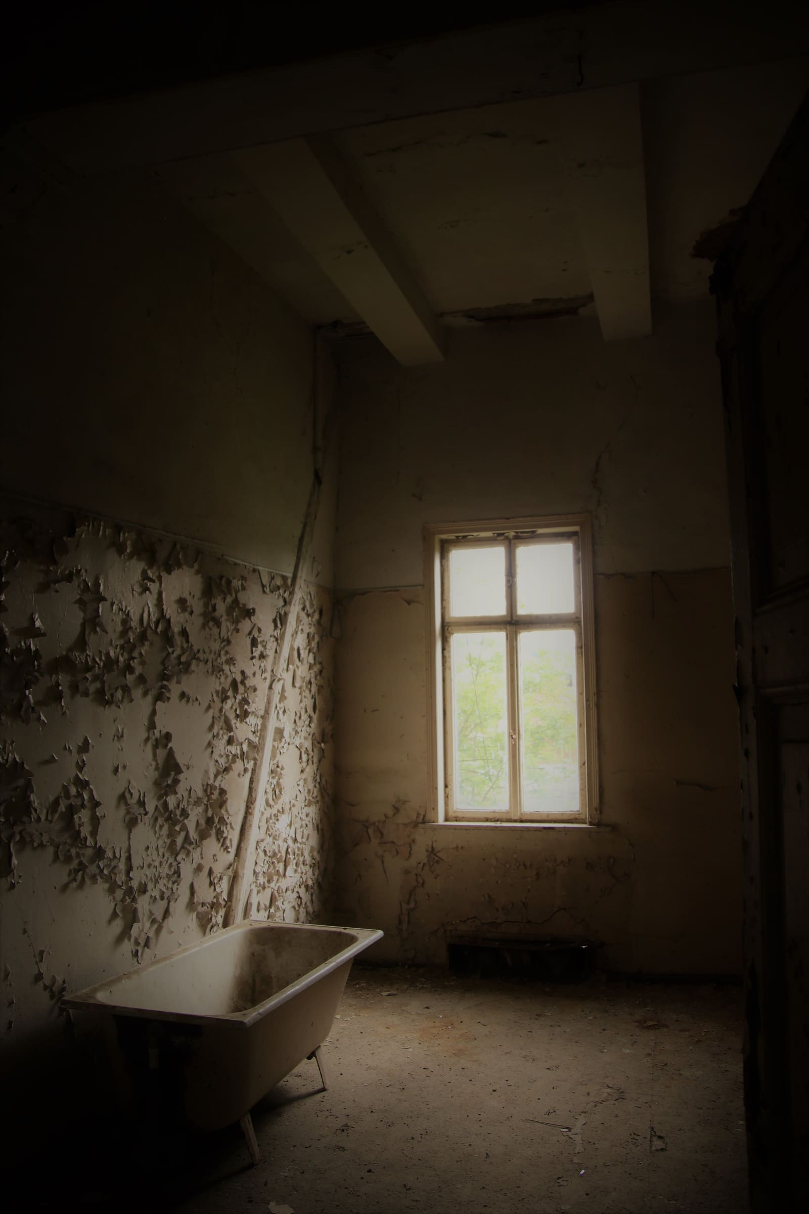 Water Damage Restoration in Lexington, KY: Costs, Causes, and Coverage