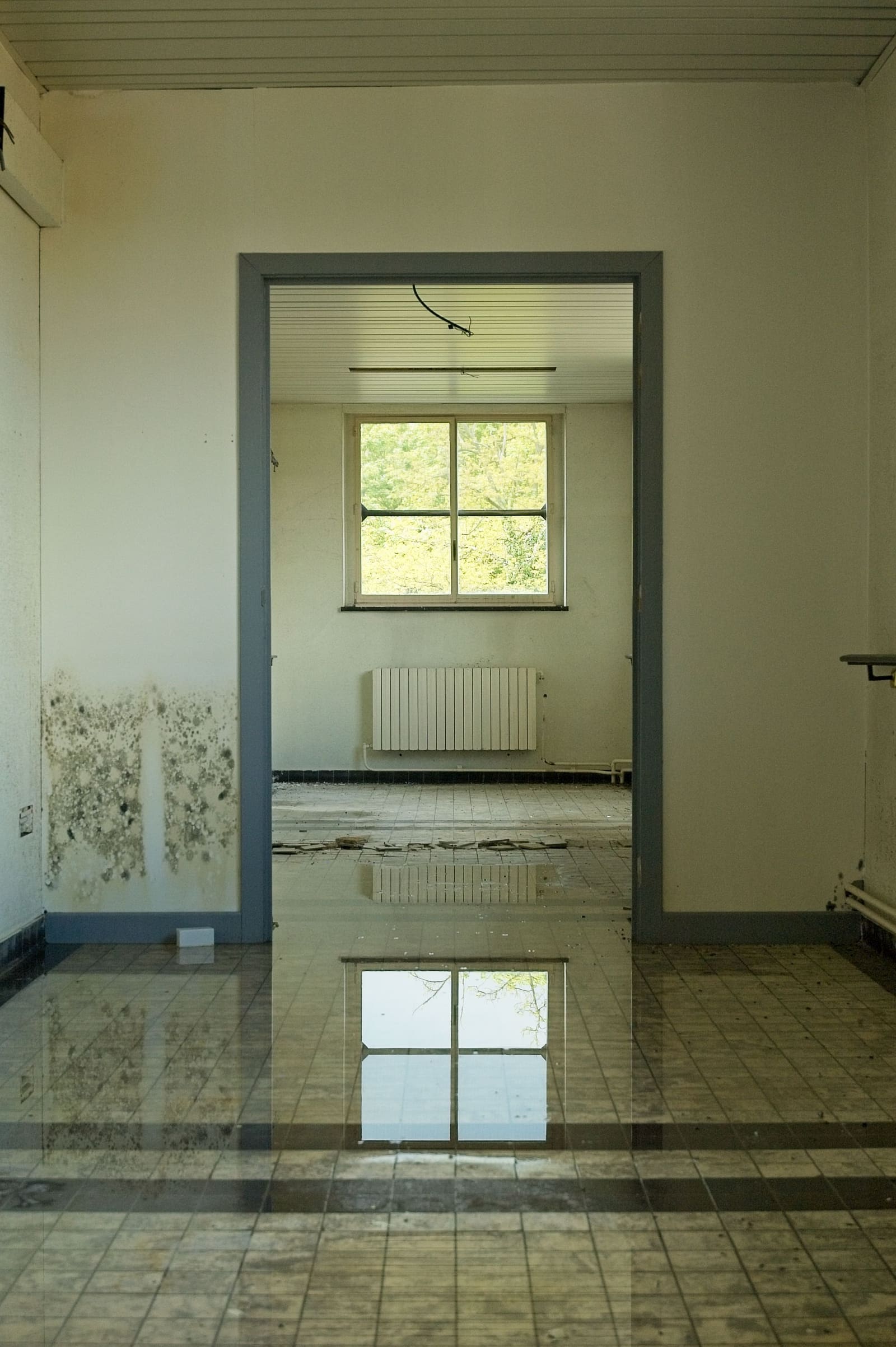 Water Damage Restoration in Los Angeles, CA: What Homeowners Need to Know