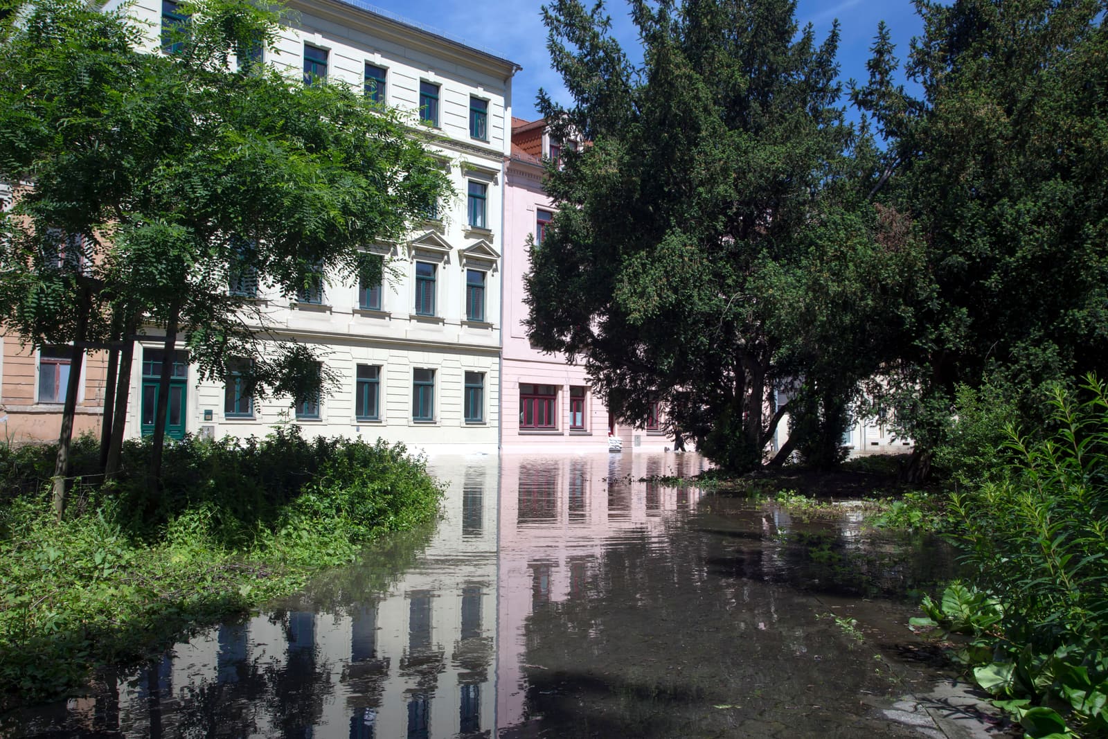 Water Damage Restoration in Mesa, AZ: Costs, Causes, and Coverage