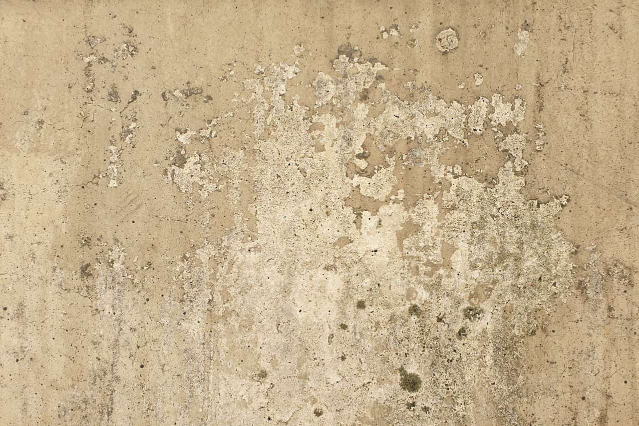 Water Damage Restoration in Mount Pleasant, MI