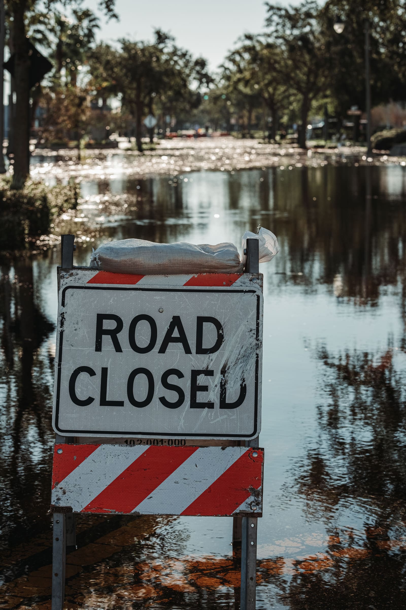 Water Damage Restoration in Orlando, FL: Costs, Causes, and Coverage