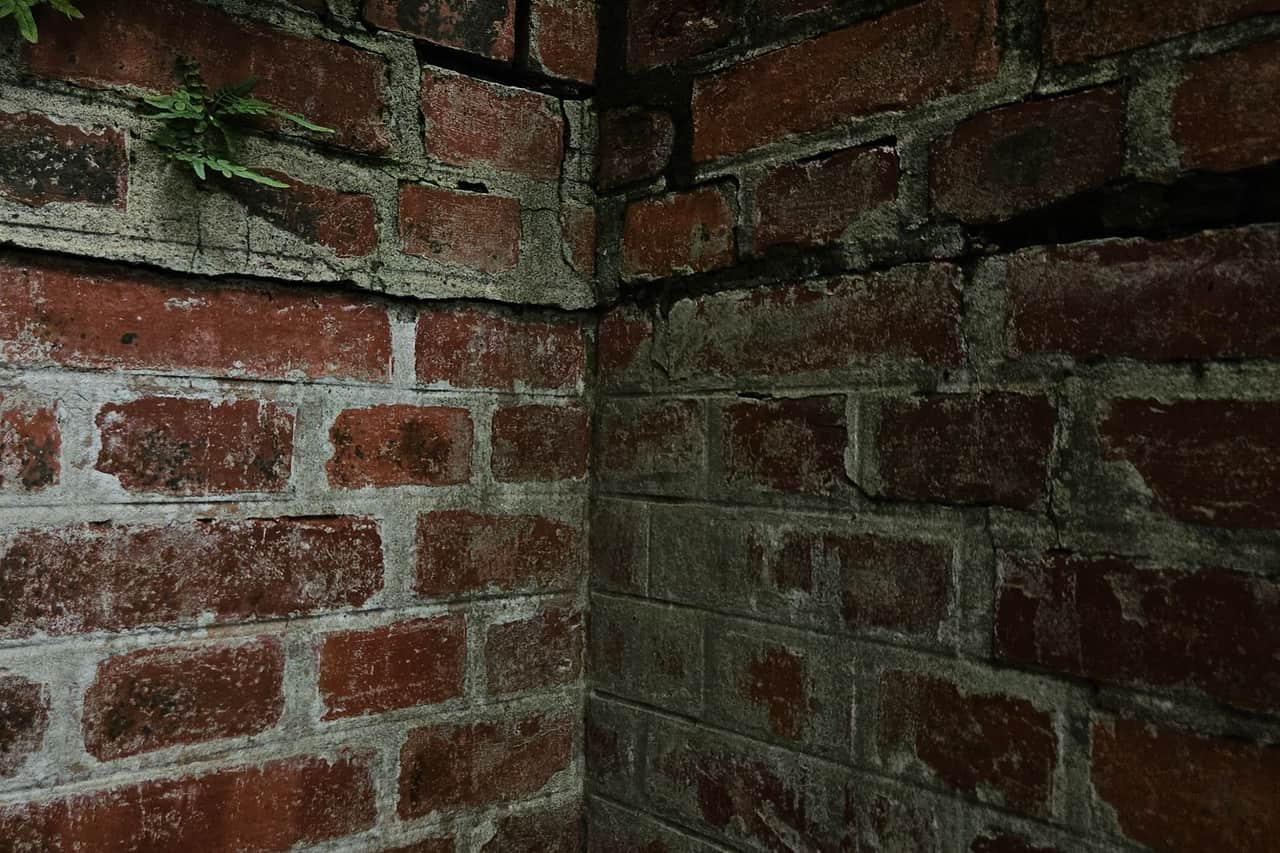 Water damage restoration Pasadena TX: Moody brick wall corner with overgrown foliage