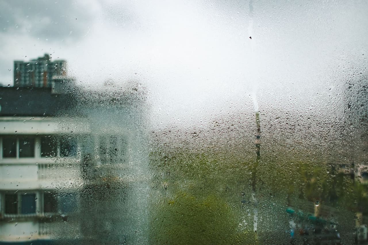 Water damage restoration Rockford IL: Close up shot of a wet window