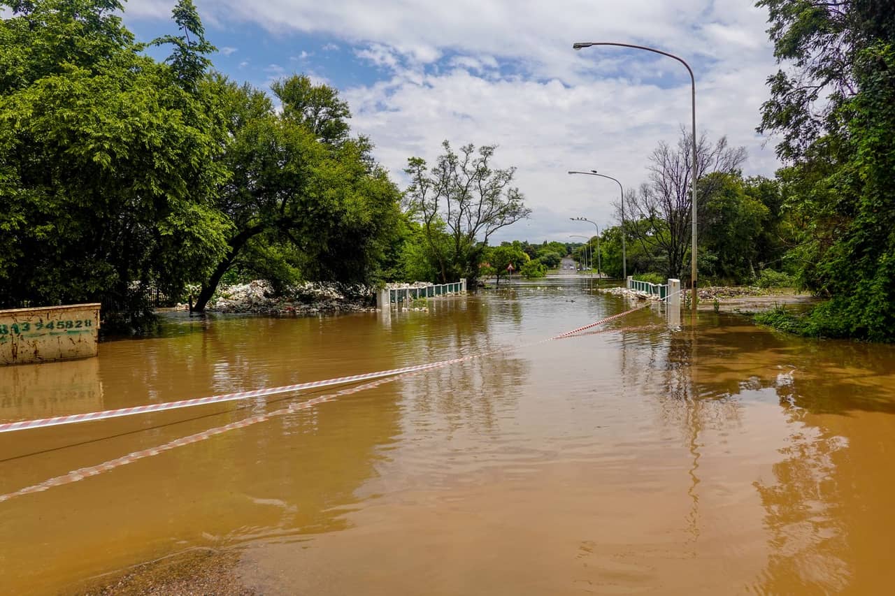 Water damage restoration in San Antonio: Flooded road surrounded by trees