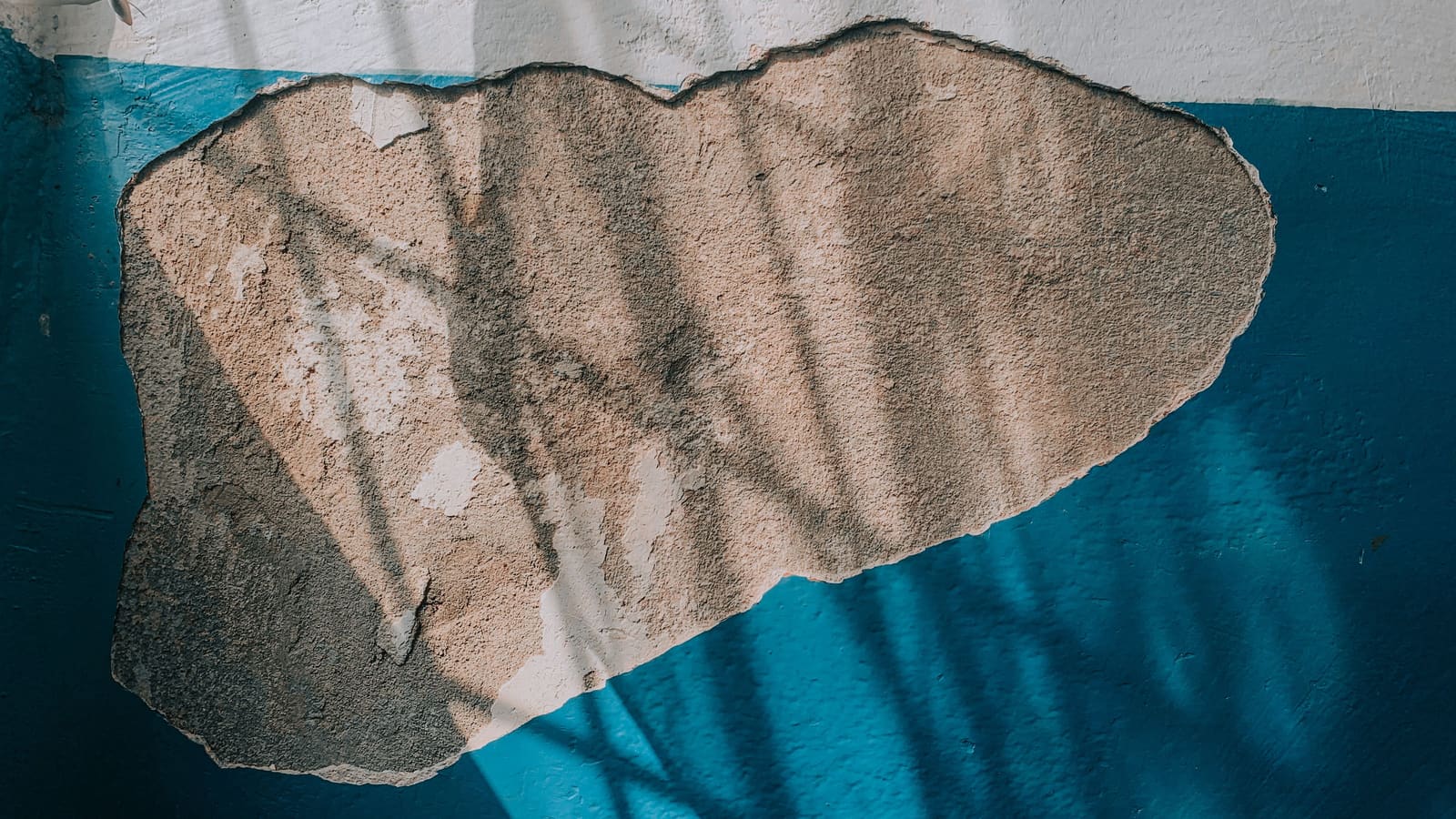 Water Damage Restoration in San Diego, CA: A Homeowner's Guide